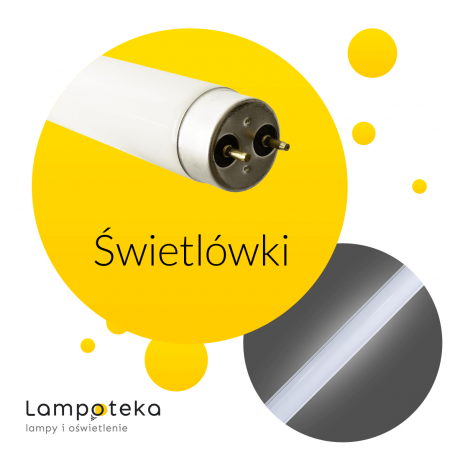 Świetlówki w ofercie sklepu Lampoteka