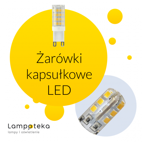 Żarówki kapsułkowe LED w sklepie Lampoteka 