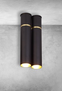 Lampa sufitowa LYNX 2xE14