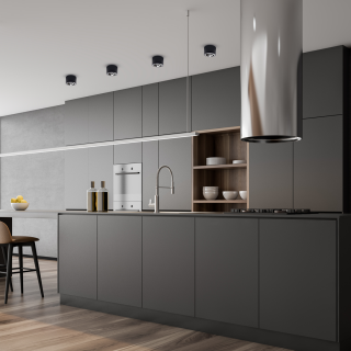 Lampa sufitowa REDONDO BLACK 1xAR111 GU10