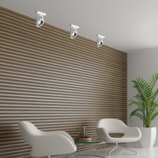 Oprawa natynkowa LUGAR WHITE 1xAR111 GU10