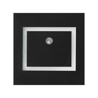 EVRA BLACK Barwa Neutralna 4000K. PIR. 12V