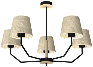 Lampa wisząca ETNA Black 5xE27