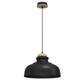 Lampa wisząca ASMUND BLACK 1xE27 30cm