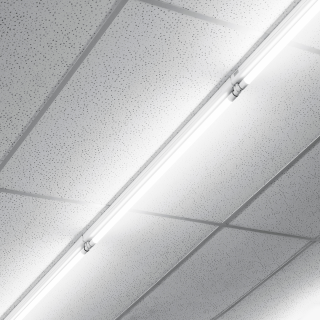 Świetlówka LED 15,5W 2500lm 4000K 120cm