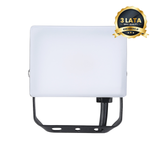 Naświetlacz LED 10W 950 lm 5000K