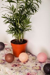 Kule LED COTTON BALLS 10SZT.