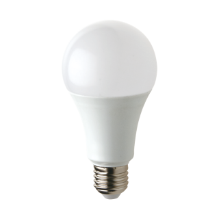 Żarówka LED 15W E27 A60 Barwa zimna 6000K