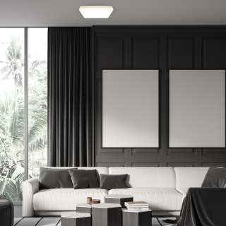 Plafon DABAR 17W LED