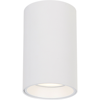 GENESIS SPOT WHITE 1xGU10 10cm