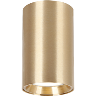 GENESIS SPOT GOLD 1xGU10 10cm