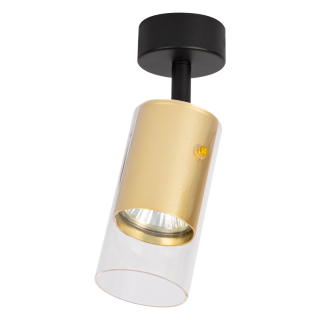 Oprawa Ricky Spot Złoty 1xGU10