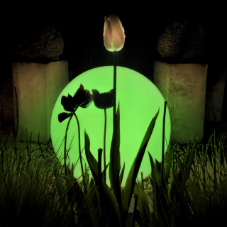 Kula ogrodowa Globo Fi600 + Żarówka RGB A60 10W + Pilot