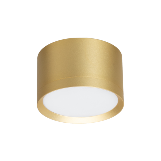 Oprawa Cyklop Spot Złoty 1xGx53