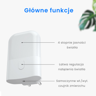 Lampka wtykowa Kama 2700K